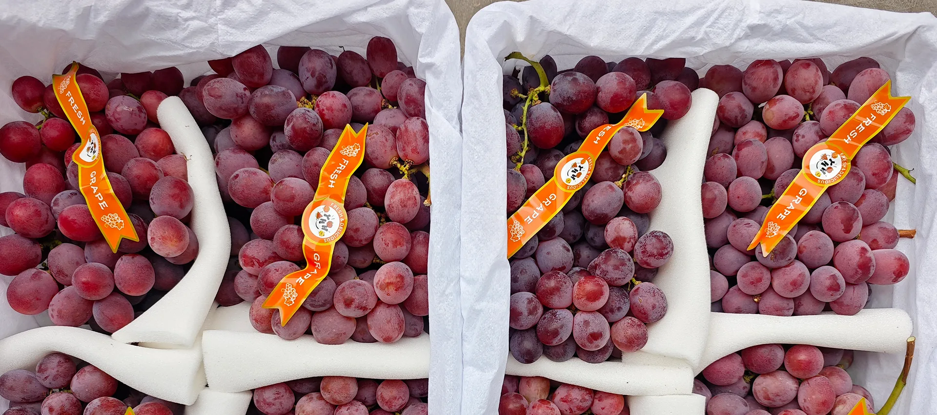 Ĉina Supera Freŝa Vinbero Provizanto