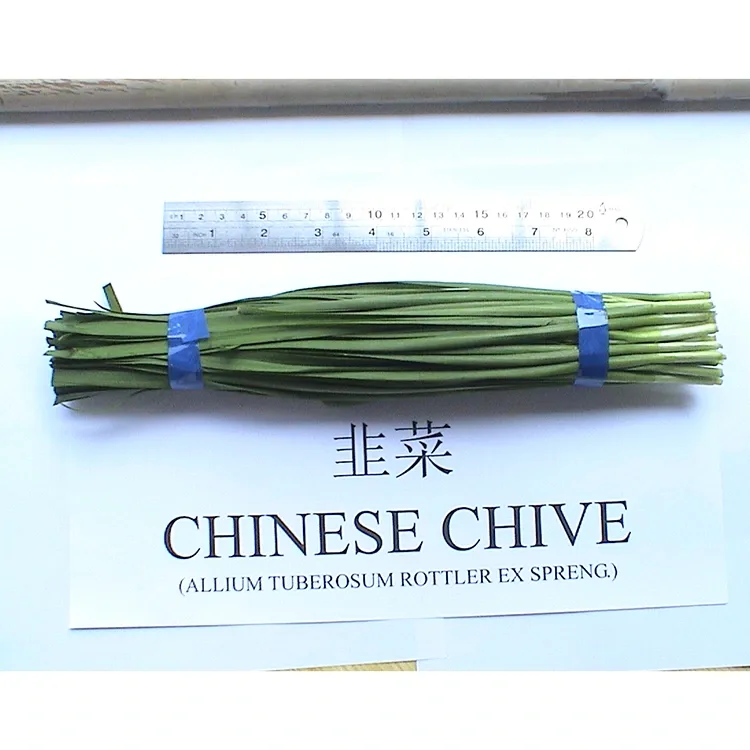 Kial Farm Fresh Chinese Chives Estas Vaste Uzitaj en Azia Kuirarto?