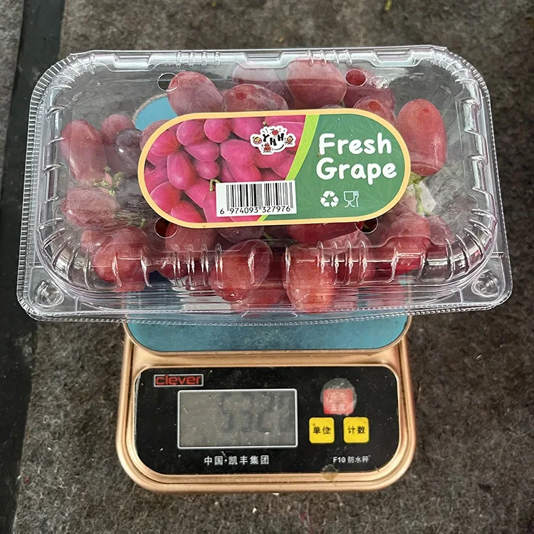 Eksporta Grado Freŝa Purpura Sensema Vinberoj
