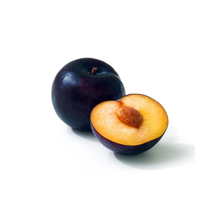 Freŝa Suka Nigra Pruno