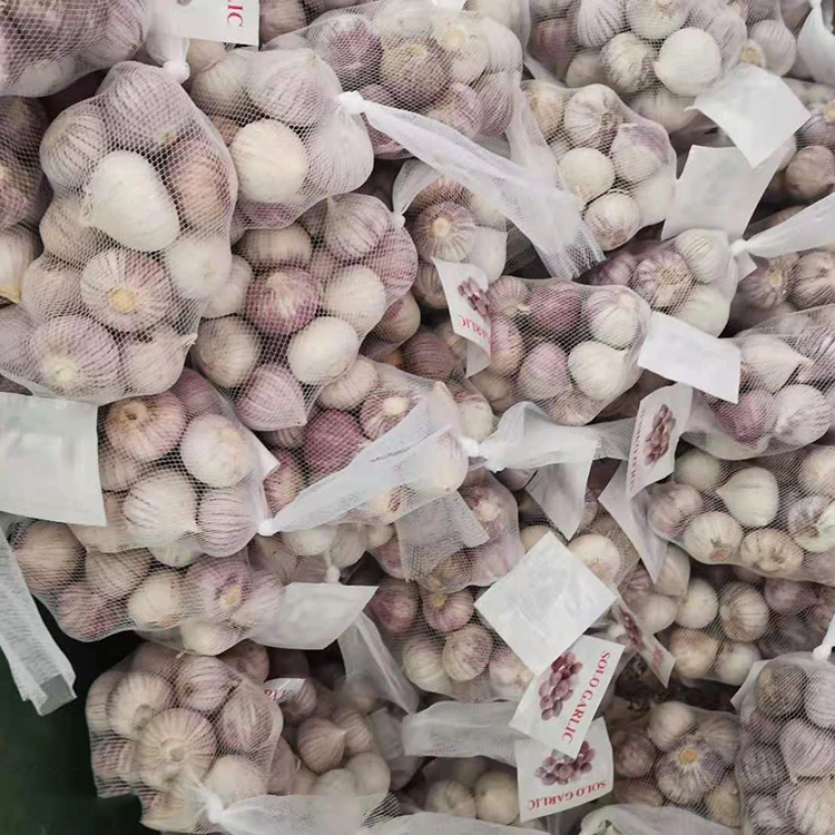 Altkvalita Unuopa Ajlo