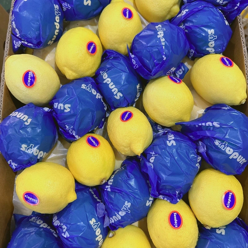 Fresh Yellow Lemon Hand Picked Lemon