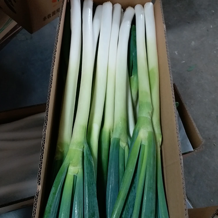 Nature Grown Verdaj Cepoj