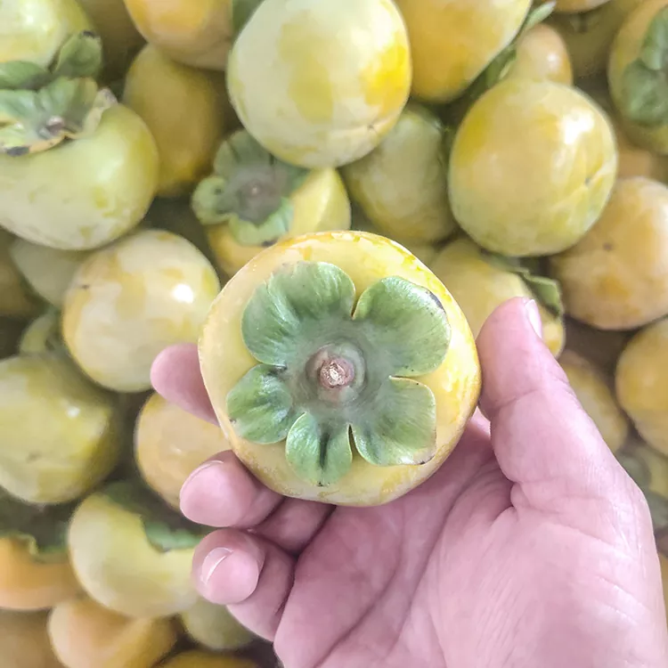 Supera Freŝa Kripa Persimmon